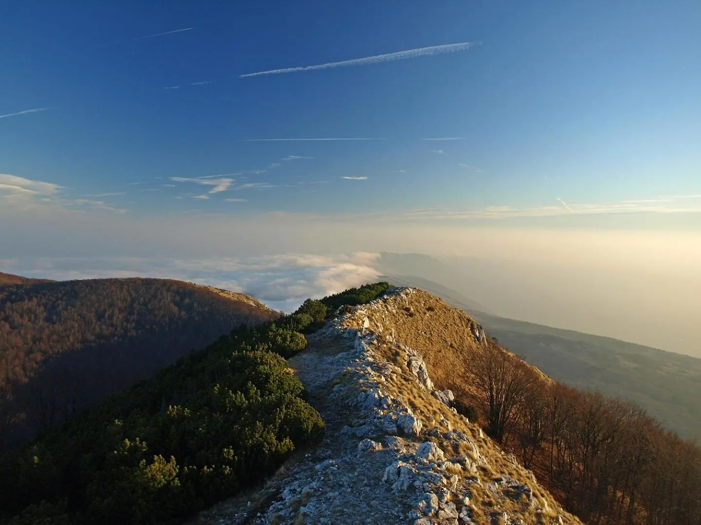 Ucka Nature Park Mountain Hideway Robinson House Matic With Pool Brest Holiday home