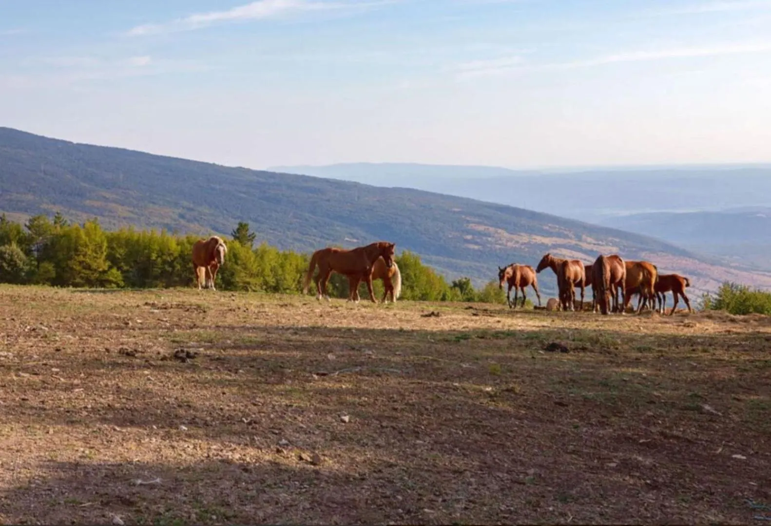 Holiday home Ucka Nature Park Mountain Hideway Robinson House Matic With Pool Brest Croatia